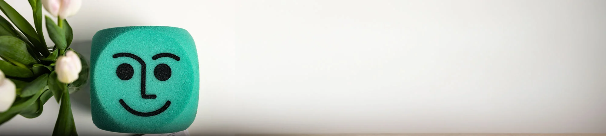 HEADER-Datenschutz